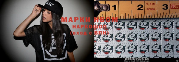 шишки Пересвет