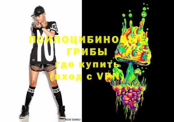 крисы Алексин