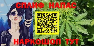 амф Обь