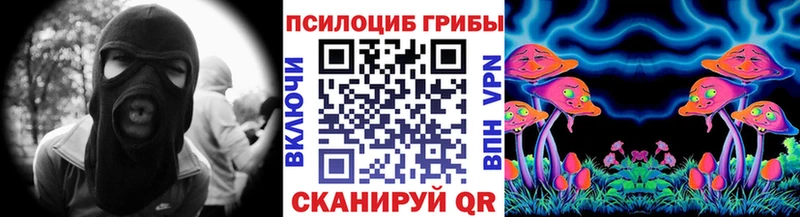 Галлюциногенные грибы прущие грибы  Сунжа 